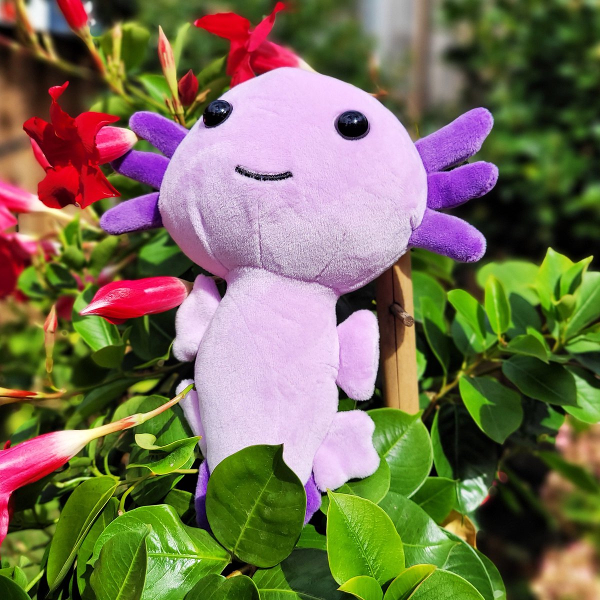 Axolotl Plush Purple